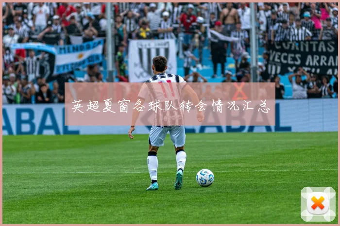 英超夏窗各球队转会情况汇总