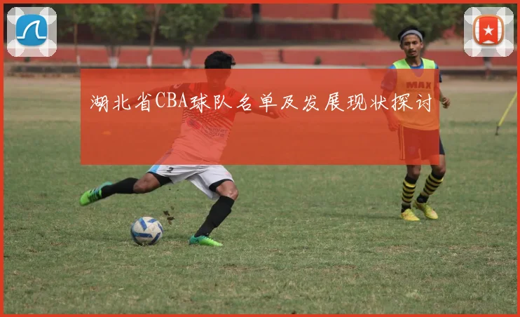 湖北省CBA球队名单及发展现状探讨